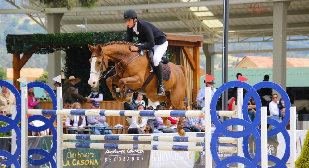 Los caballos de salto colombianos una potencia en América Latina imagen de la publicación