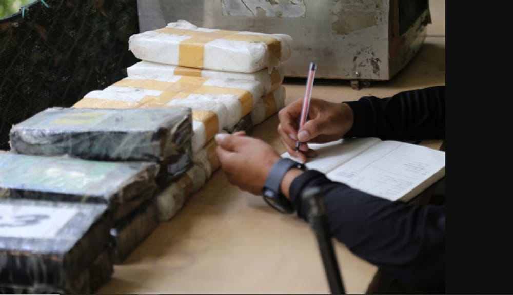 Pérdida de un alijo de coca desató guerra en el Catatumbo imagen de la publicación