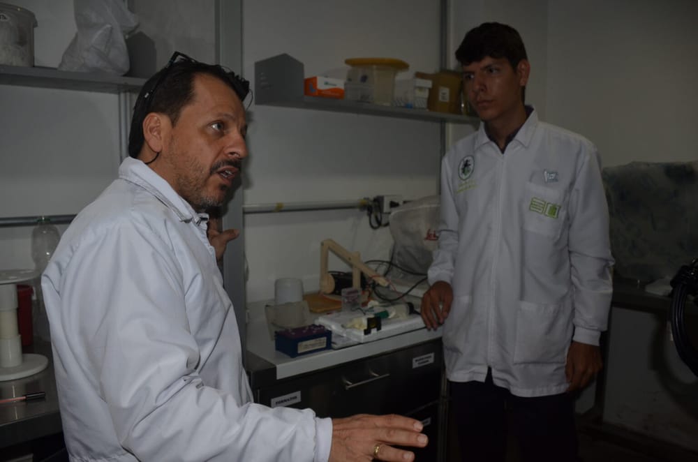 Científicos santandereanos avanzan en la validación de un dispositivo para detectar de manera rápida el parásito causante del Chagas imagen de la publicación