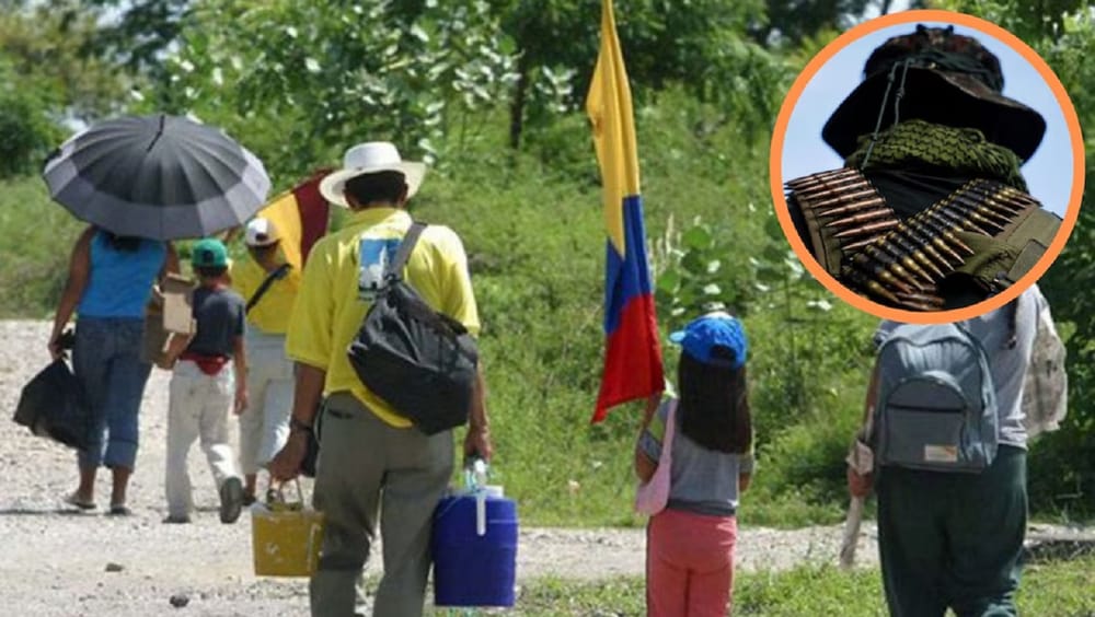 Al menos 80 muertos y más de once mil desplazados por guerra en el Catatumbo entre las Farc y el ELN imagen de la publicación