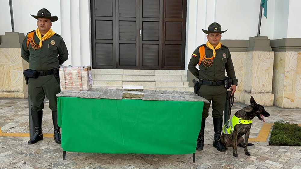 Incautan 16 kilos de marihuana en operativo imagen de la publicación