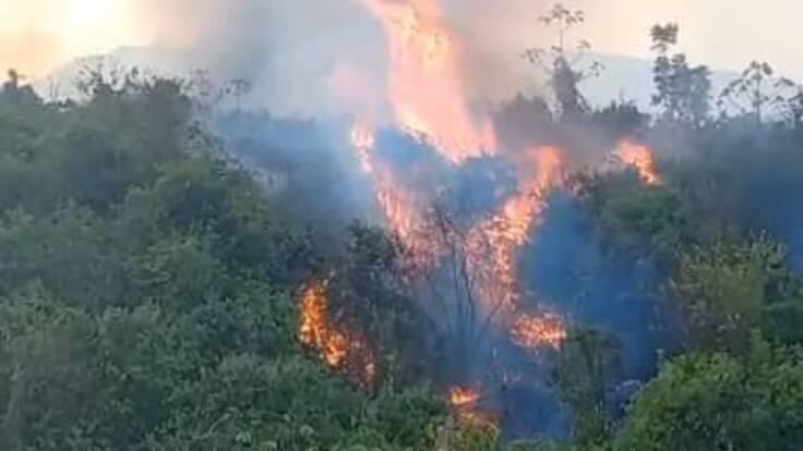Alcaldía refuerza medidas preventivas ante el riesgo de incendios forestales imagen de la publicación