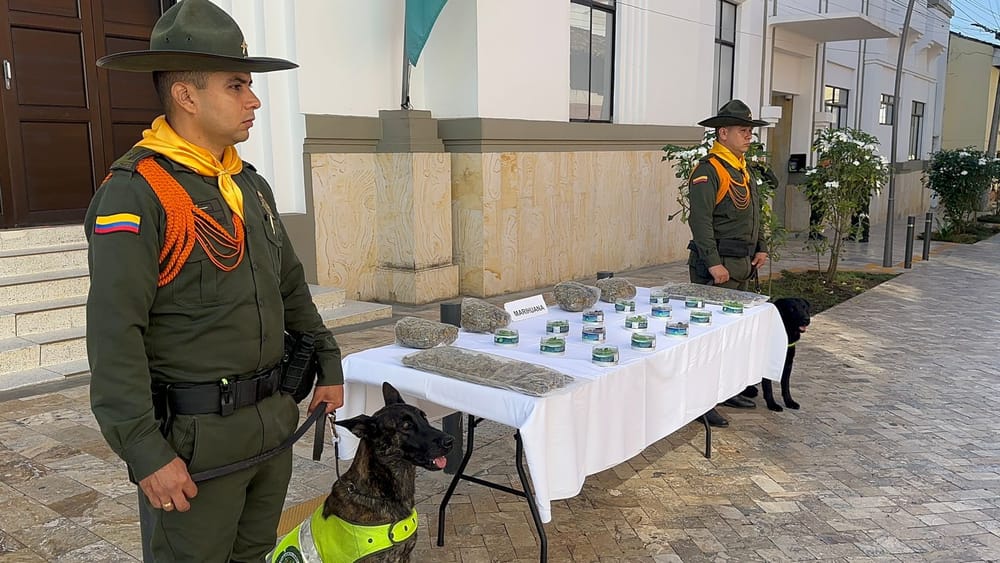 En Bucaramanga incautan 5.500 gramos de estupefacientes imagen de la publicación