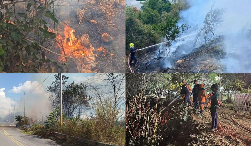 Alarmante cifra de incendios forestales en Santander imagen de la publicación