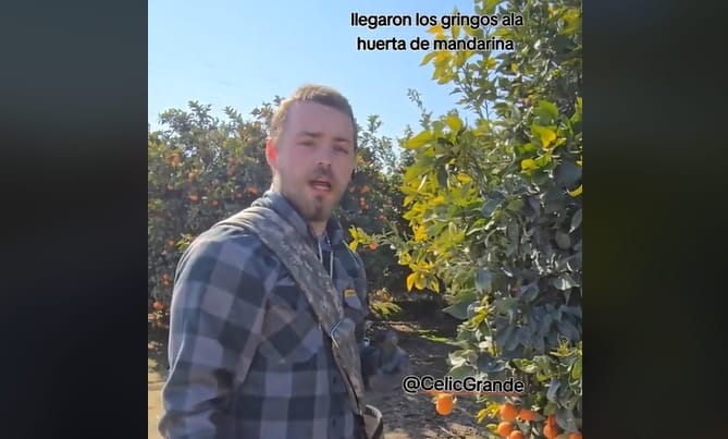 VIDEO: Deportaron a los granjeros mexicanos y ahora los estadounidenses hacen el oso intentando trabajar al ritmo de los latinos imagen de la publicación