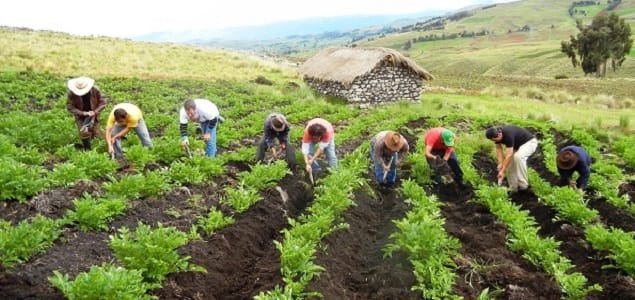 Lupa al proceso de identificación y delimitación de las Áreas de Protección para la Producción de Alimentos (APPA) en el país imagen de la publicación