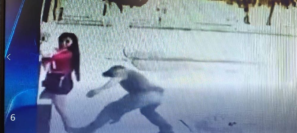 VIDEO: Pervertido fue captado mordiendo los glúteos de una mujer. “Eso no fue grave”, le dijeron la fiscalía imagen de la publicación