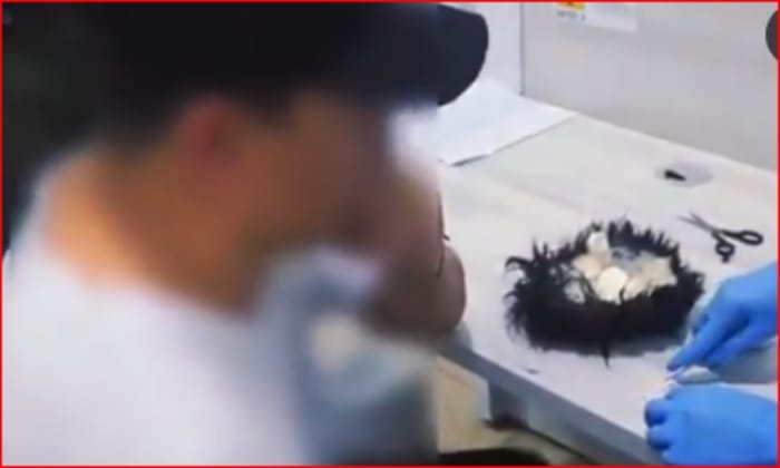 'Narcopeluca' en aeropuerto de Cartagena con destino a los Países Bajos imagen de la publicación