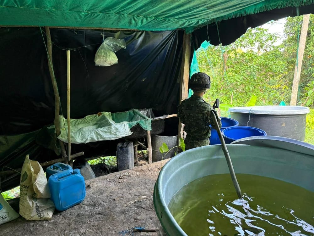 Destruyen un laboratorio de cocaína en Sabana de Torres imagen de la publicación