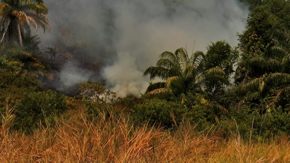 Barrancabermeja entra en alerta por riesgo de incendios forestales imagen de la publicación