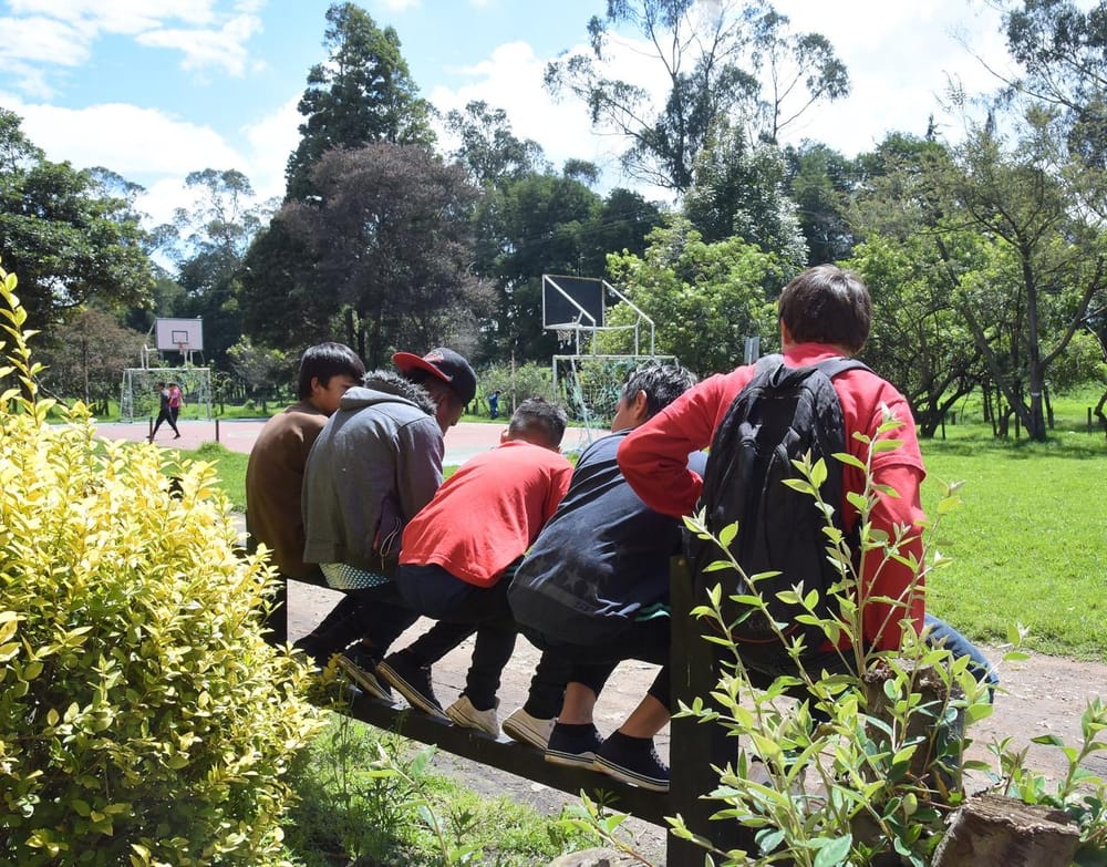Jóvenes del Catatumbo renacen tras dejar grupos armados imagen de la publicación