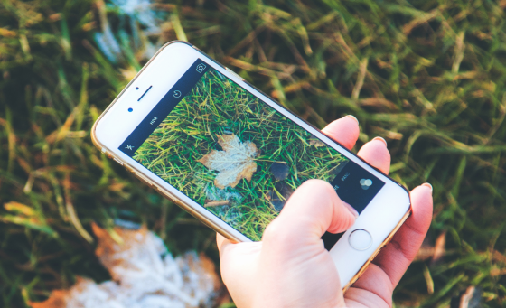 Lebrija debutará en el City Nature Challenge 2025 imagen de la publicación