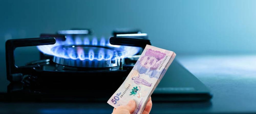 Freidoras de aire y ollas multifuncionales, el plan B ante el alza del gas imagen de la publicación