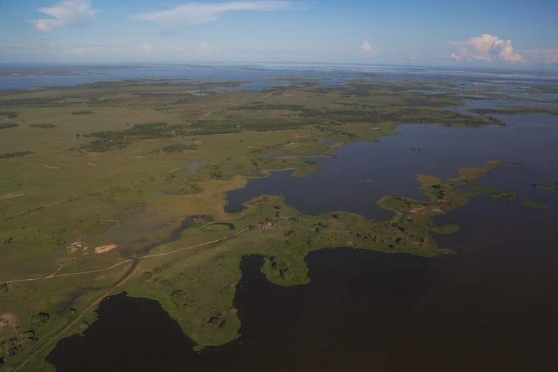 Día Mundial de los Humedales: ¿Por qué son tan importantes para Colombia? imagen de la publicación