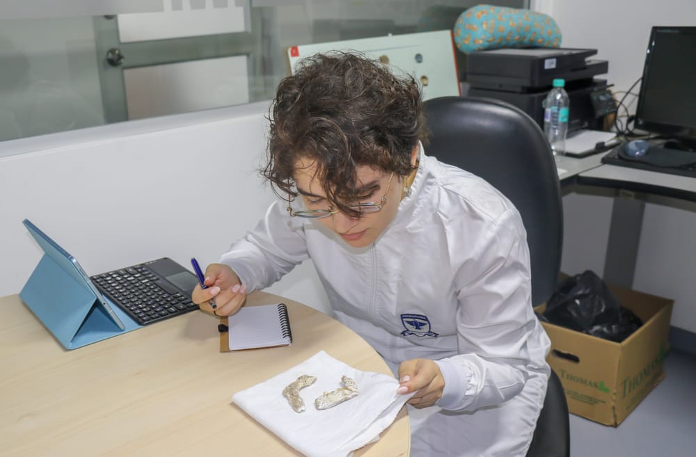 Análisis de dientes revela cómo vivían los indígenas en Santander imagen de la publicación