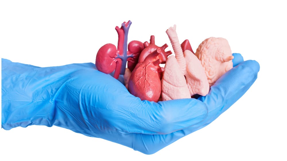 Del dolor a la esperanza: cómo un trasplante cambia vidas imagen de la publicación