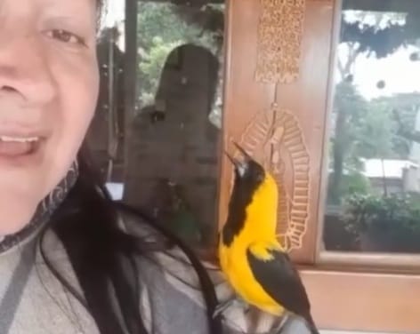 VIDEO: Ave se dejó conquistar por la dulce voz de una mujer y empezó a cantar junto a ella imagen de la publicación