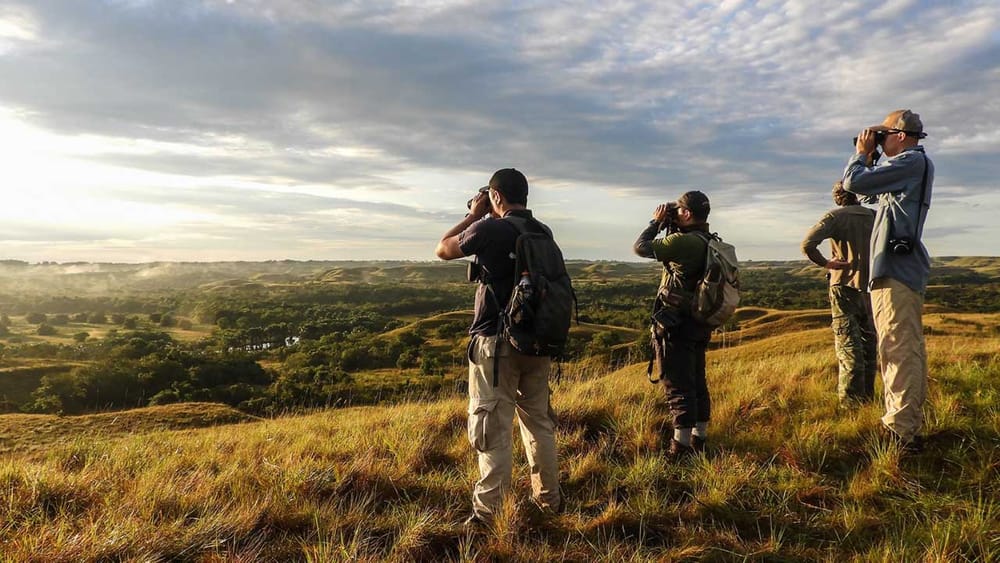 Colombia alcanza cifras récord en ingresos por turismo y transporte aéreo imagen de la publicación