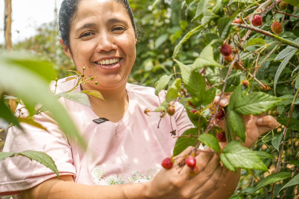 Le falta un debate al proyecto que beneficiará la mujer rural de Santander imagen de la publicación