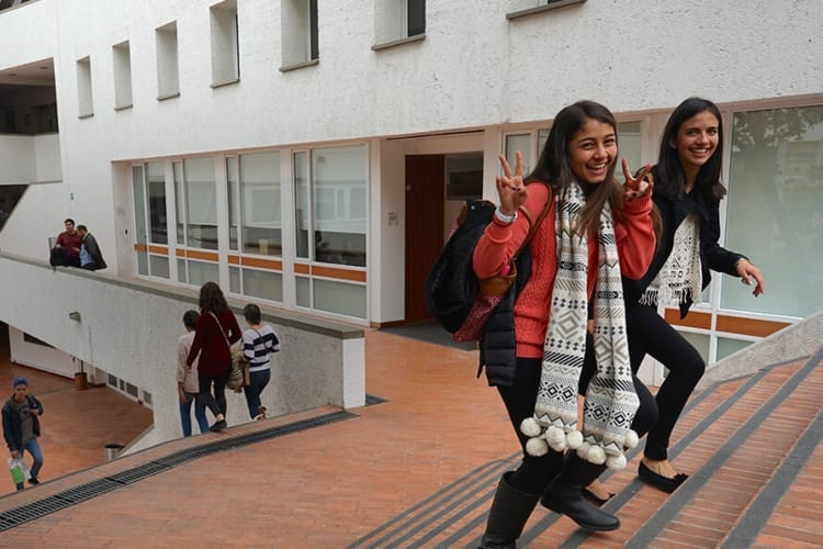 Durante 2024, 846 mil colombianos se beneficiaron de estudio universitario gratuito imagen de la publicación