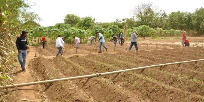 Con proyecto de ley pretenden devolverle a los suelos su vocación agrícola. ¿En qué consiste? imagen de la publicación