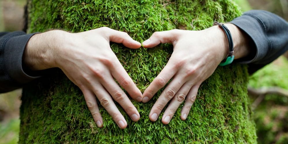 Biofilia: exposición que te hará sentir, explorar y proteger la naturaleza imagen de la publicación