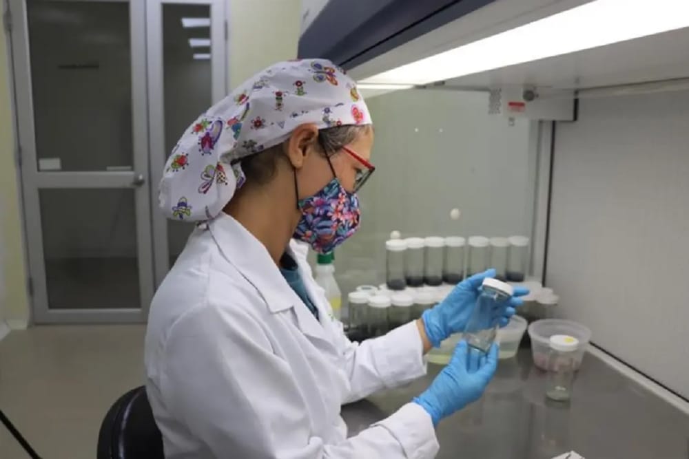 AGROSAVIA celebró el Día Internacional de la Mujer resaltando el liderazgo femenino en la ciencia agropecuaria imagen de la publicación