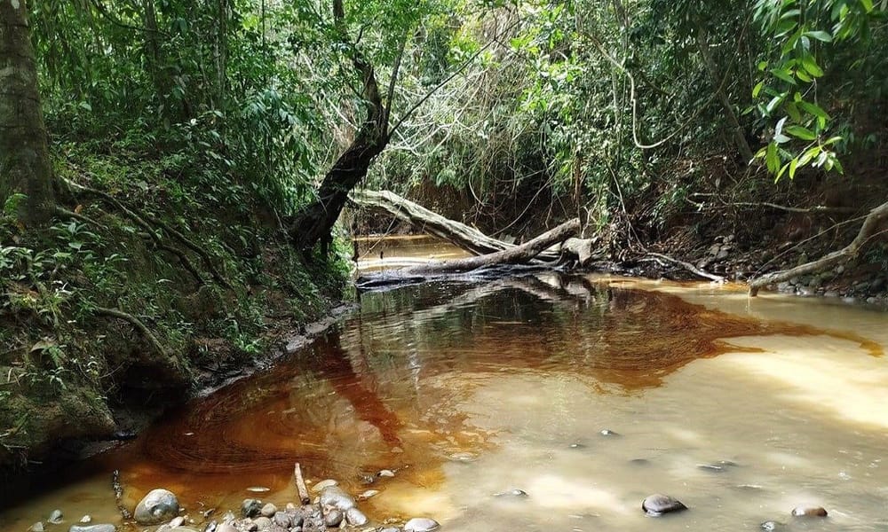 Preocupación por nuevo derrame de crudo en la quebrada La Lizama imagen de la publicación
