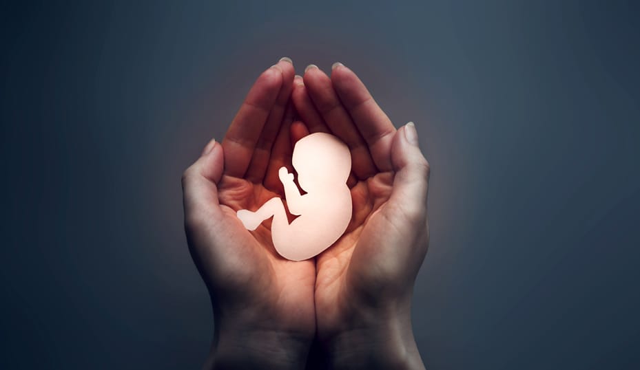 A prisión sujeto que obligó a su expareja a abortar sin su consentimiento imagen de la publicación