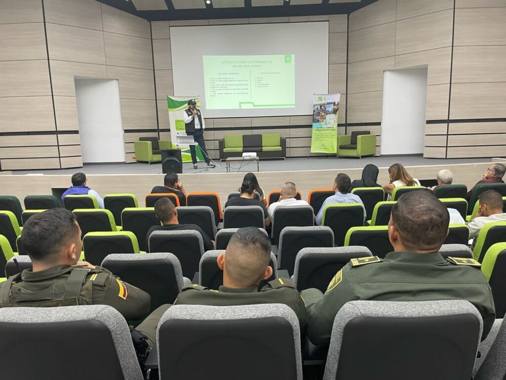 Refuerzan protección animal en Bucaramanga y Floridablanca imagen de la publicación