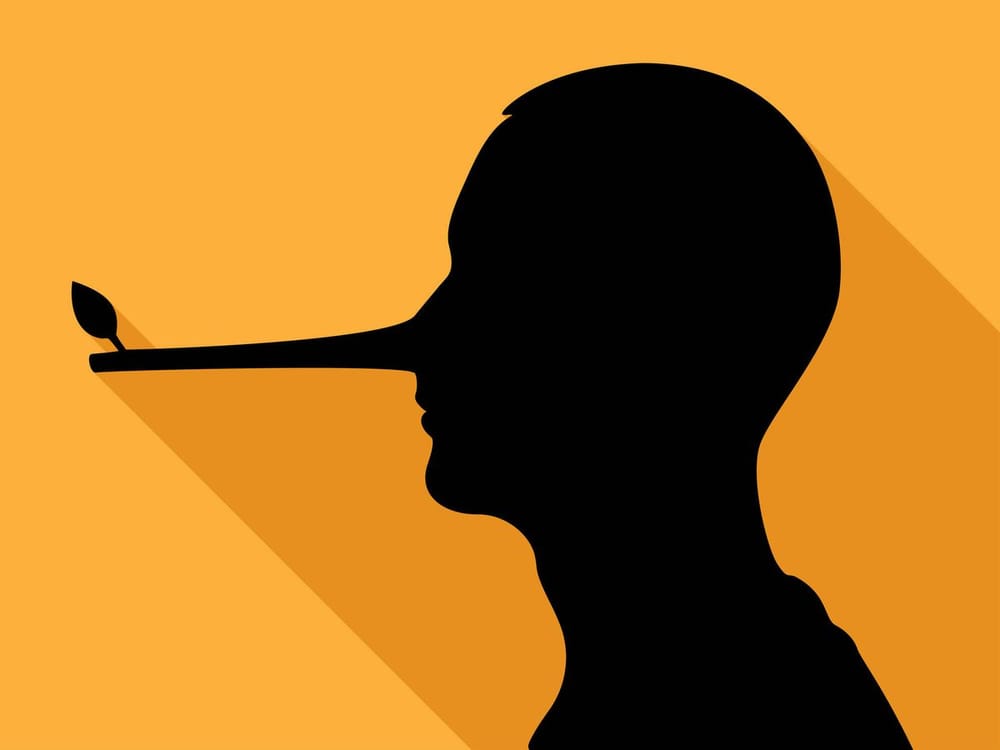 Cómo detectar mentiras: Si le dicen ciertas frases podría estar hablando con un mentiroso imagen de la publicación