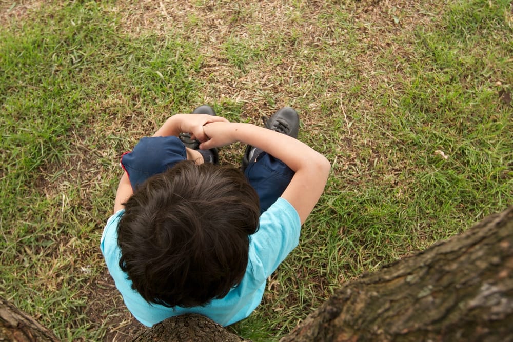 Con regaño de magistrados a la Fiscalía, se anula preacuerdo para disminuir la pena a un hombre que abusó sexualmente de su hijo imagen de la publicación