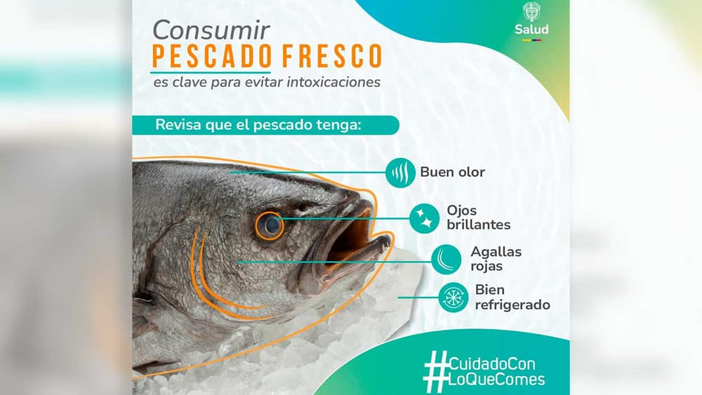 Fácil, rápido y sencillo: le contamos como reconocer un fruto del mar fresquito y delicioso imagen de la publicación