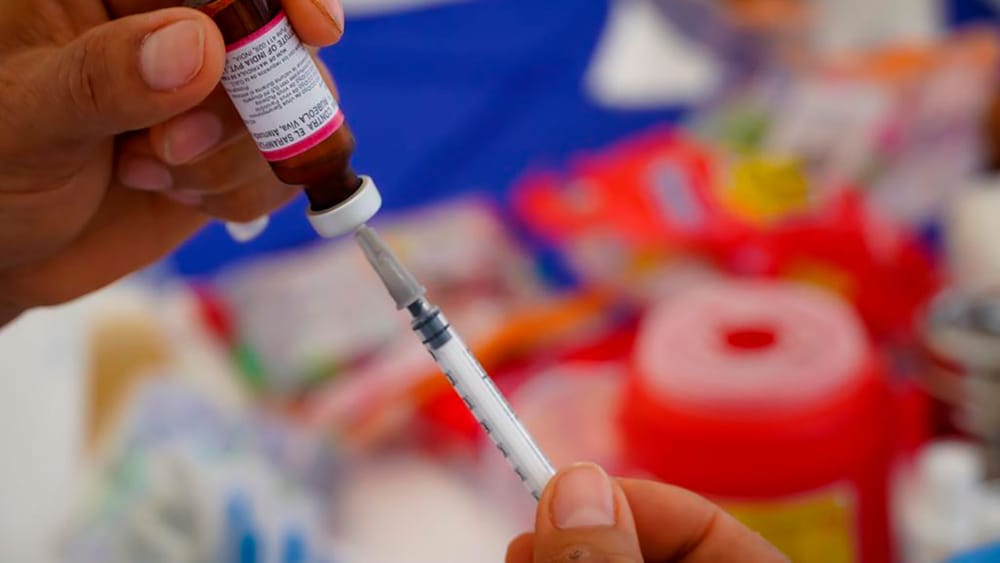 En dos meses población debe estar vacunada contra la fiebre amarilla: presidente Petro imagen de la publicación