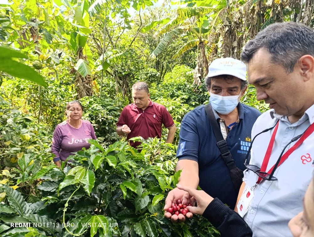 Víctimas del Conflicto en Santander lograron un impulso para sus productos comerciales imagen de la publicación