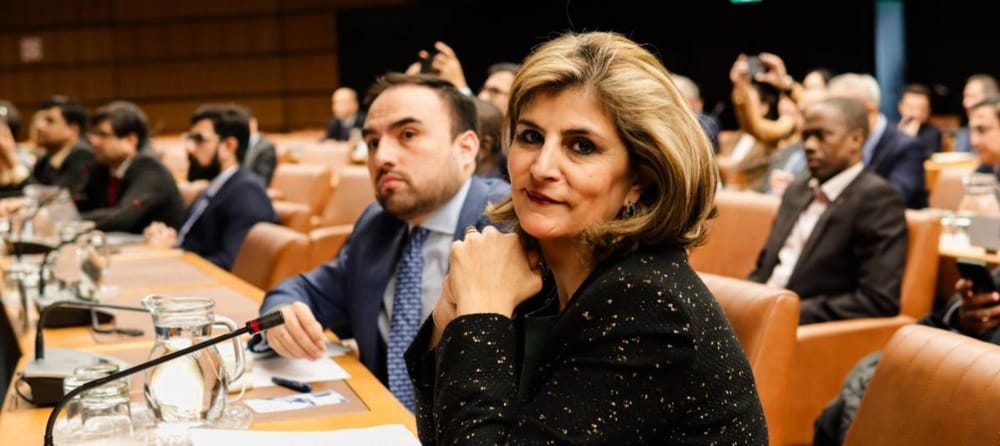 En representación de Colombia Laura Gil se postuló a la Secretaría Adjunta de la OEA imagen de la publicación