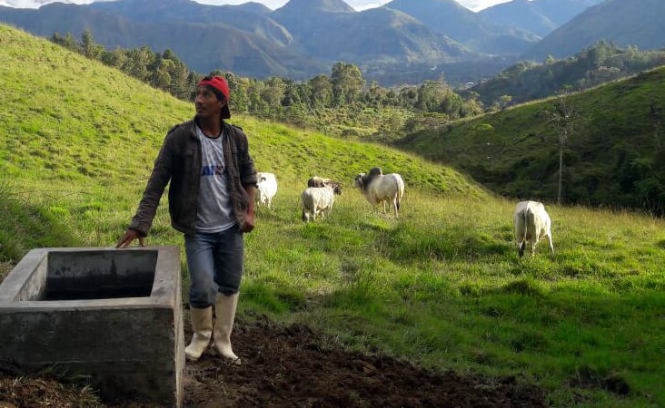 A un debate está proyecto de santandereano que propone bebederos en todo el país imagen de la publicación