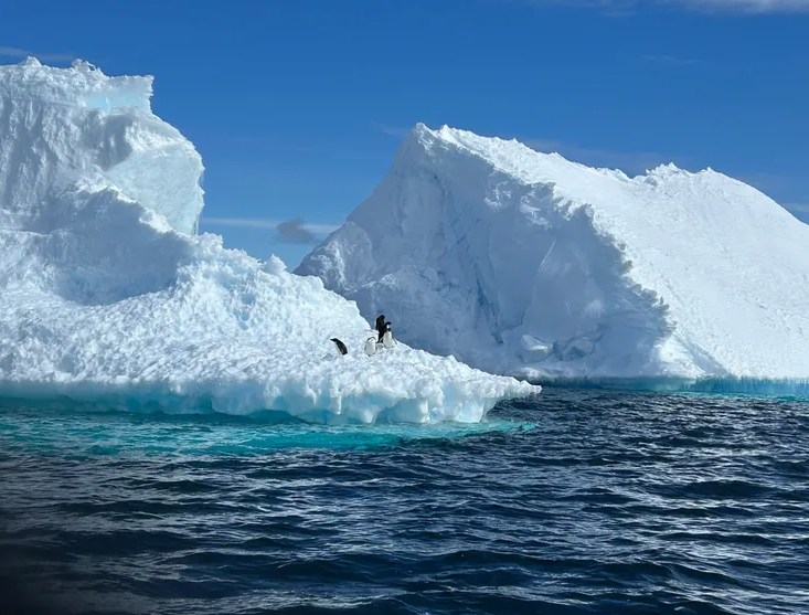 El mundo oculto bajo el hielo de la Antártida: ríos subglaciales amenazan con acelerar el aumento del nivel del mar imagen de la publicación