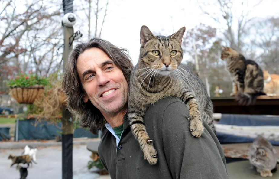 El héroe de los 'michis': dueño de un albergue para gatos fallece tras incendio imagen de la publicación