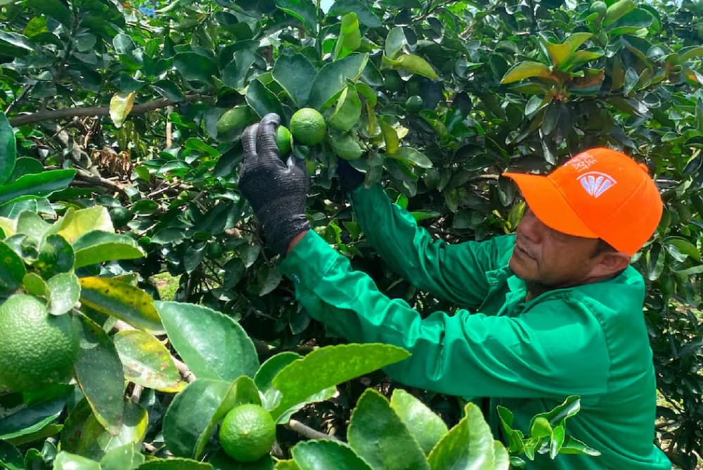 Empresas santandereanas en alerta por arancel del 10% impuesto por Trump imagen de la publicación