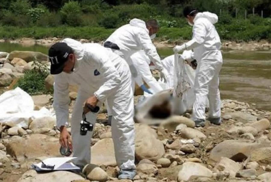 Hallan cuerpo cercenado los brazos y piernas imagen de la publicación