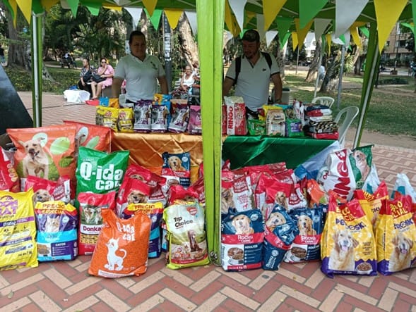 Bucaramanga se une por una buena causa animal imagen de la publicación