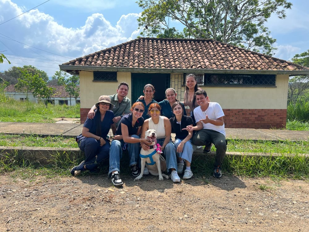 31 cambios de vida: Bucaramanga avanza en bienestar animal imagen de la publicación