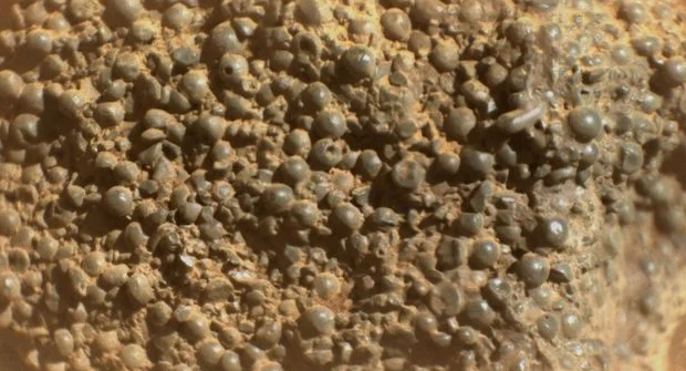 ¿Huevos alienígenas? La NASA descubre esferas inquietantes en el suelo marciano imagen de la publicación
