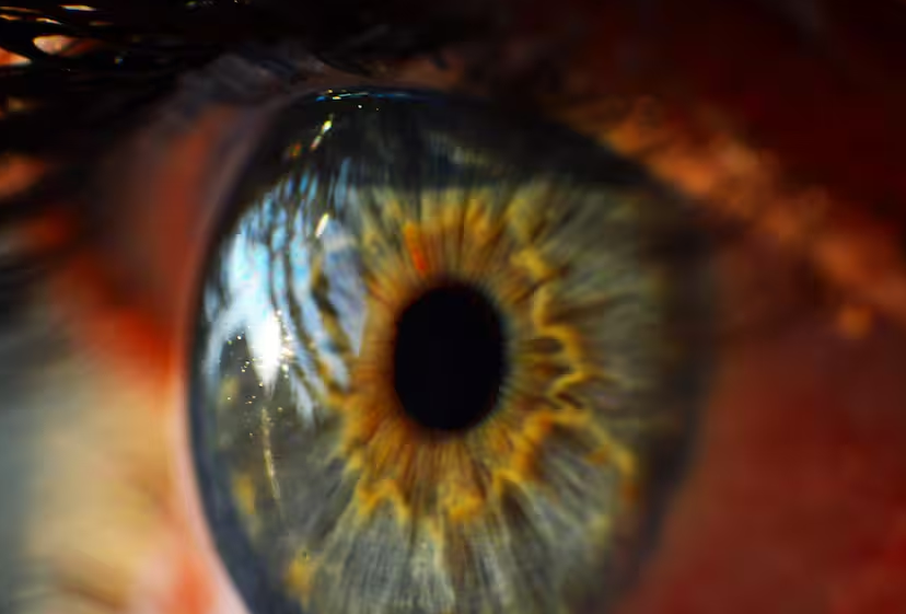 Científicos crean nuevo color y su cerebro no sabe cómo procesarlo imagen de la publicación