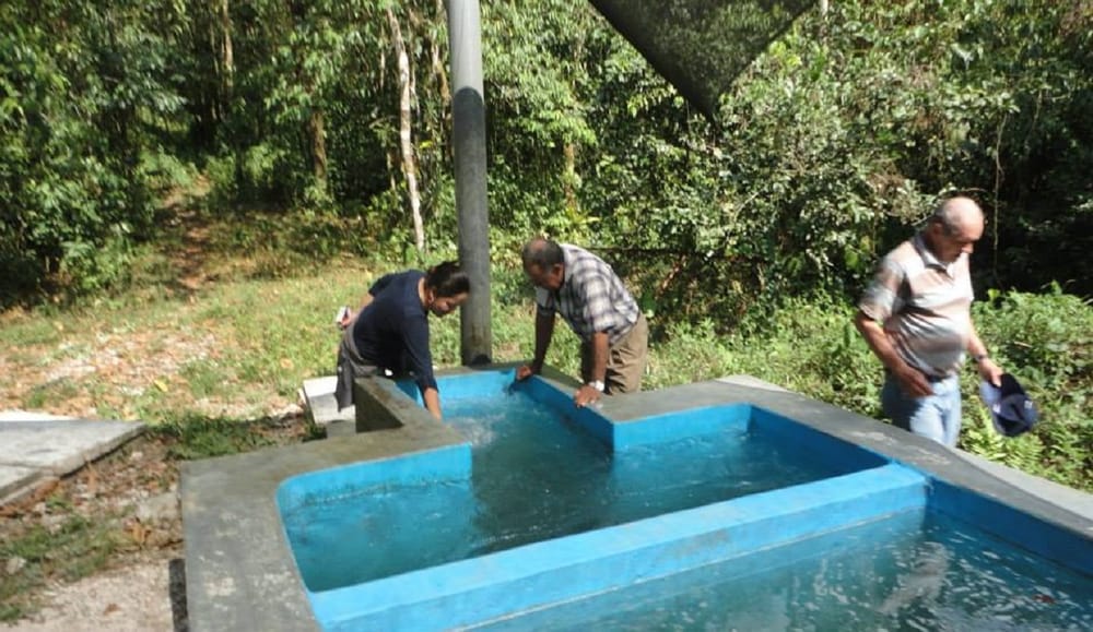 ¡El Colmo! Hallan millonaria pérdida de recursos del SGP destinados para acueductos y saneamiento básico imagen de la publicación
