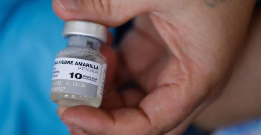 Santander acelera su escudo inmunológico ante la fiebre amarrilla imagen de la publicación