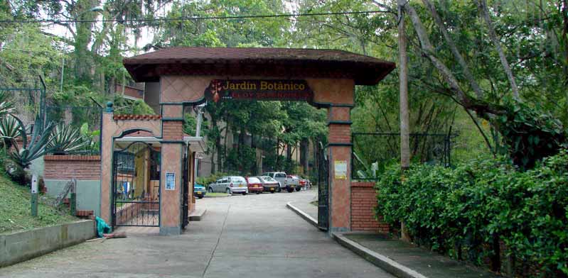 Orquídeas en flor: un homenaje a la biodiversidad santandereana imagen de la publicación