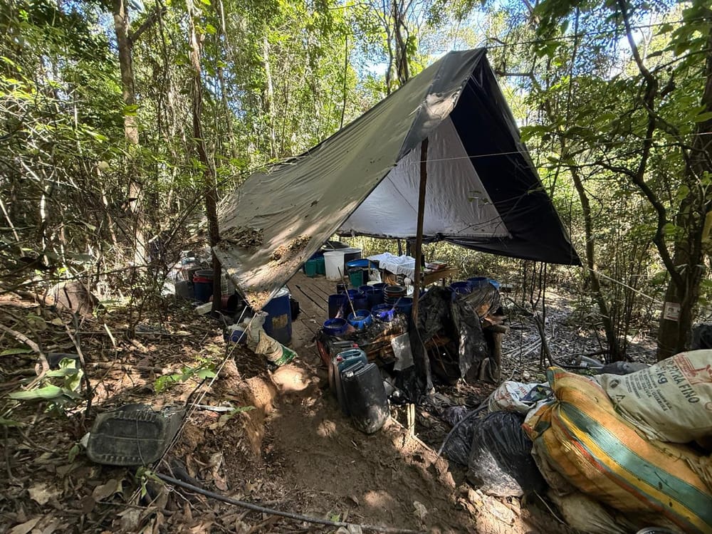 Ejército Nacional asesta nuevo golpe al ELN con incautación de laboratorio de cocaína imagen de la publicación