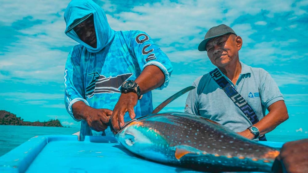 Pesca y acuicultura crecieron 18,2 % en primer trimestre de 2025 imagen de la publicación